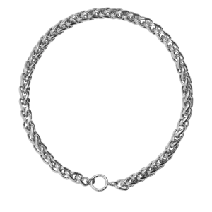 Clarion Necklace in Silver