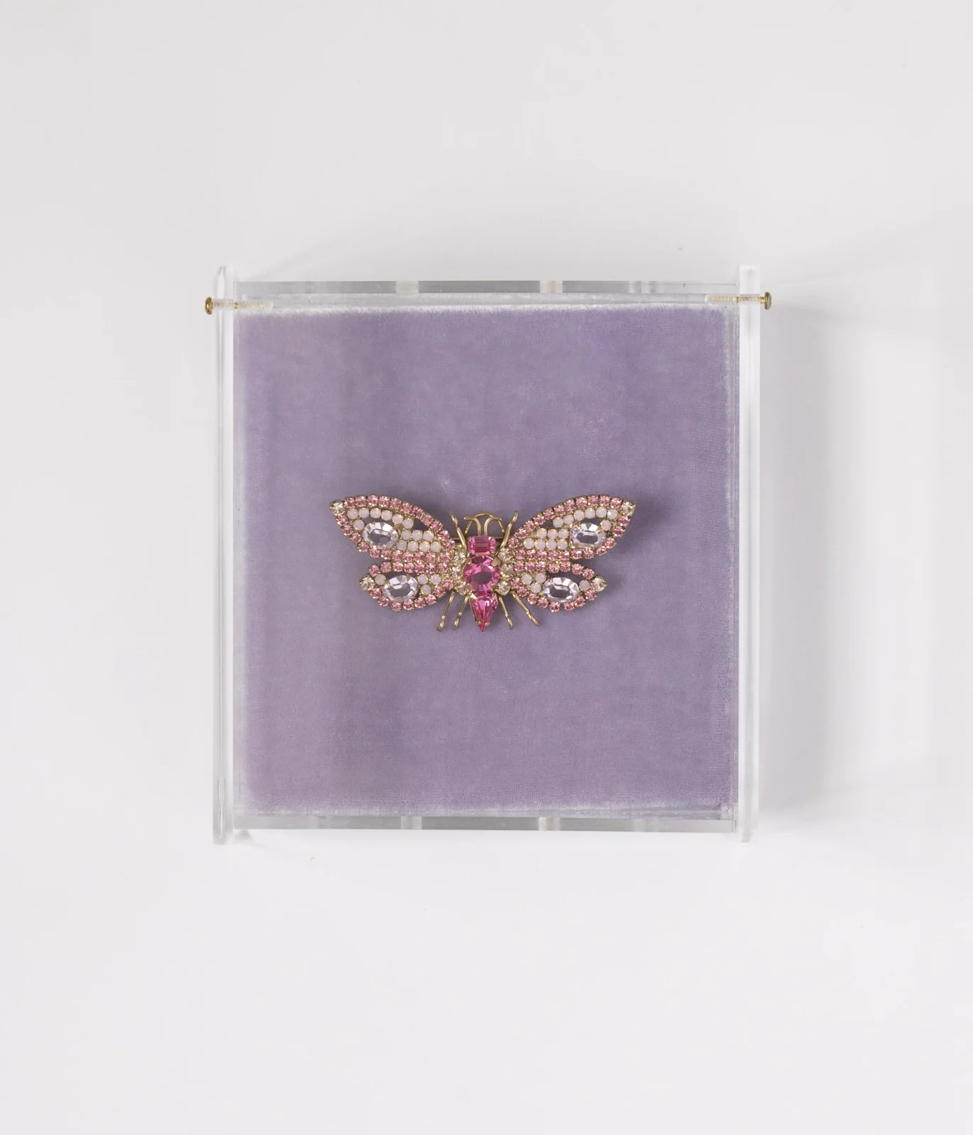 Rosie the Velvetwing Bee - Image 2